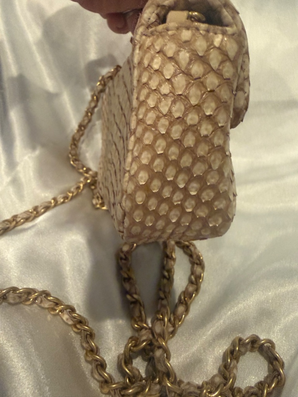 Chanel Python mini flap bag - Picture 4 of 15